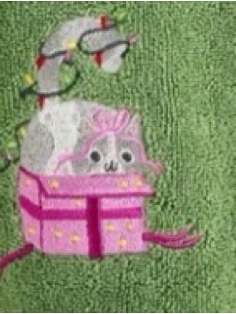 Anthropologie Green Embroidered Hand Towel with Pink Accent